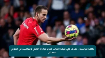 تكلفة قياسية.. تعرف على قيمة أتعاب حكام مباراة الأهلي وبيراميدز في الدوري الممتاز